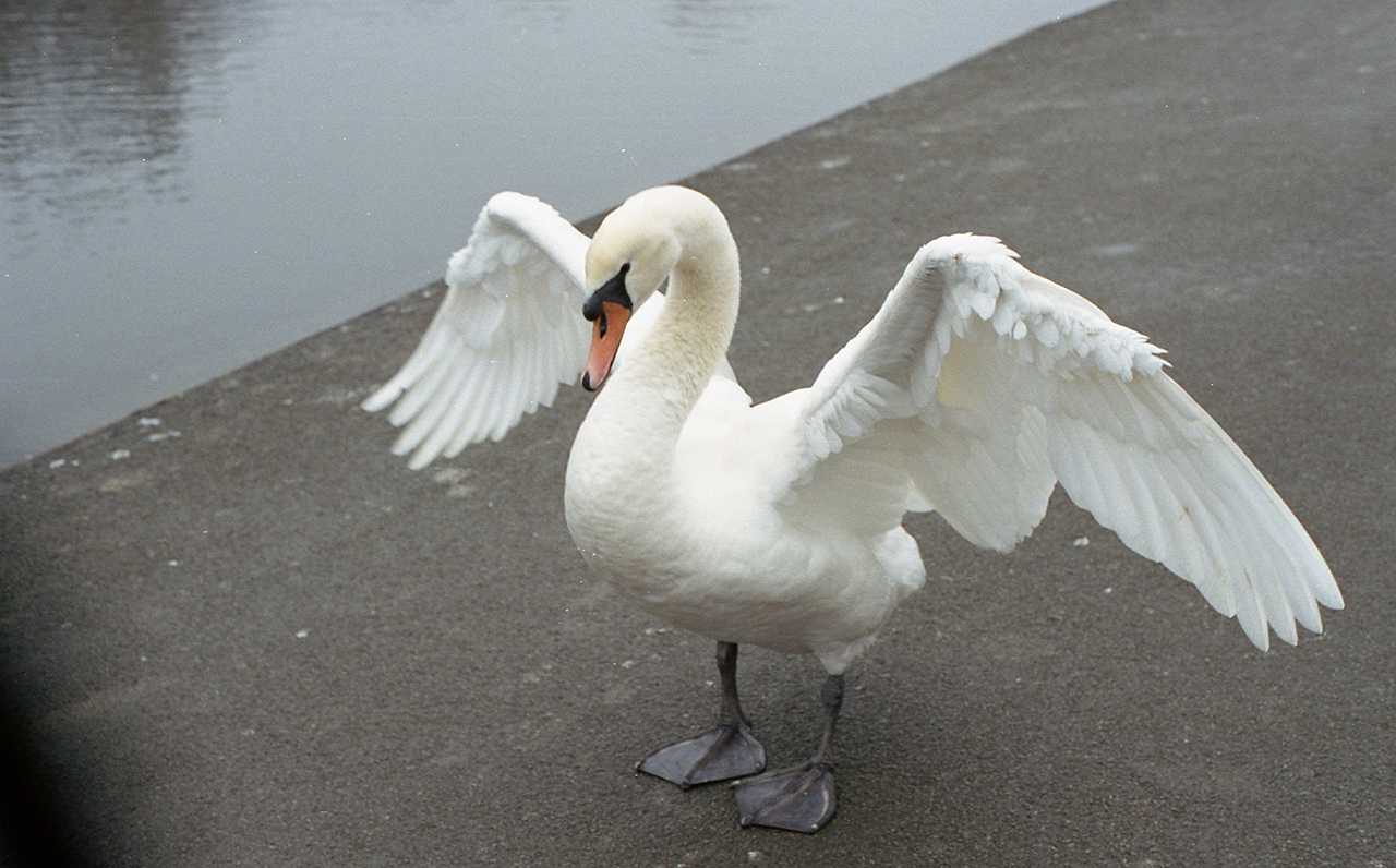 image-4-© Marie-Hélène Grégoire