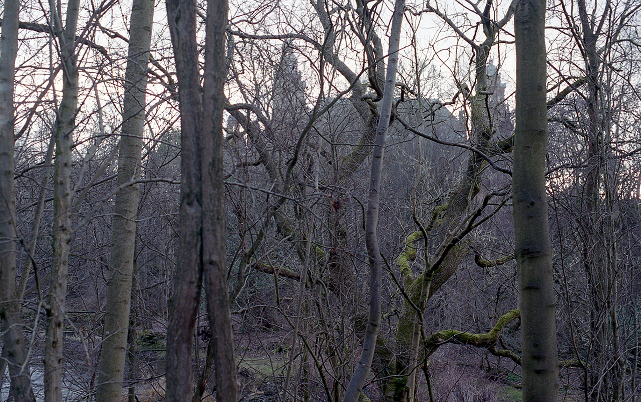 image-10-© Marie-Hélène Grégoire