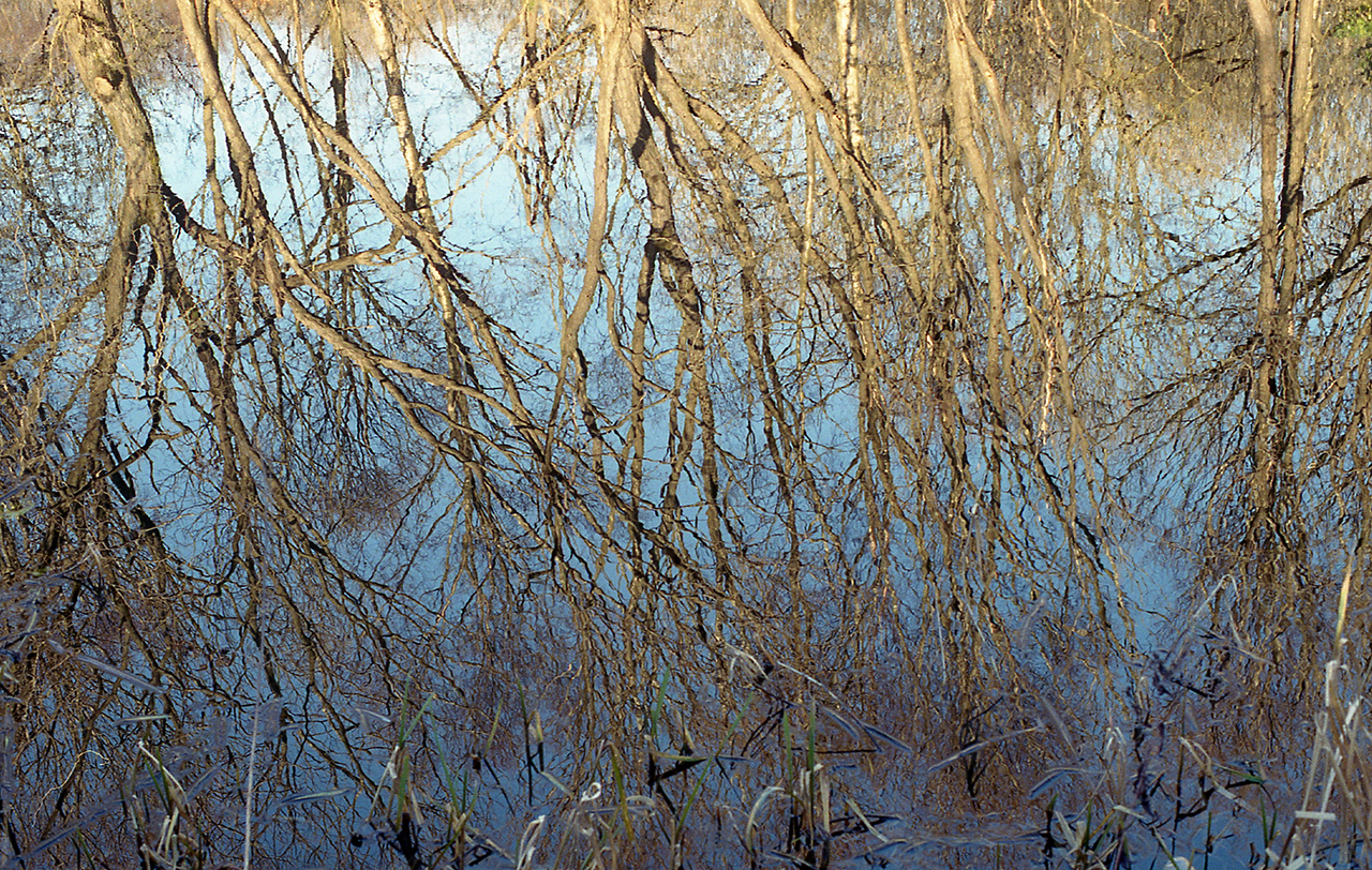 image-14-© Marie-Hélène Grégoire