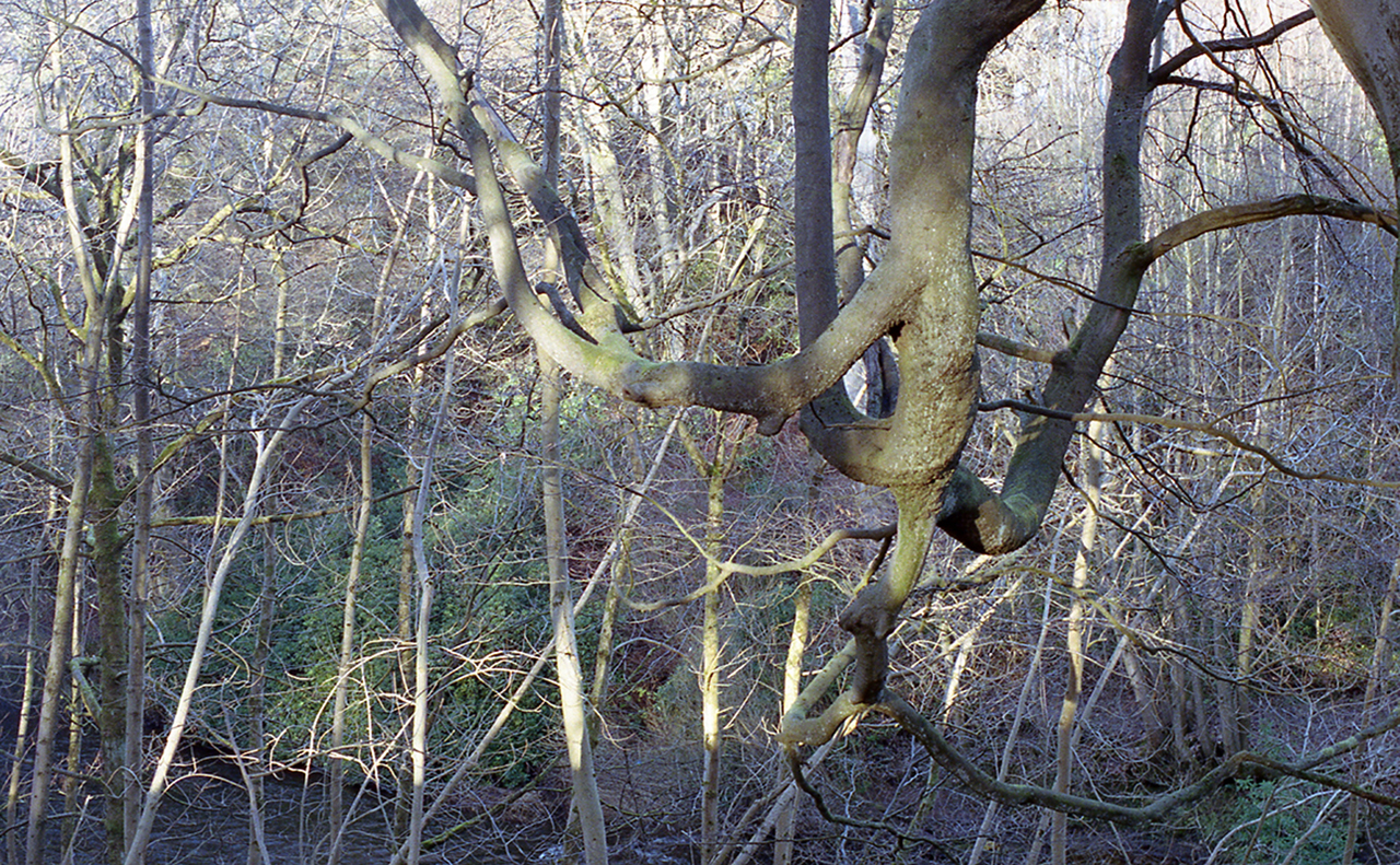 image-15-© Marie-Hélène Grégoire