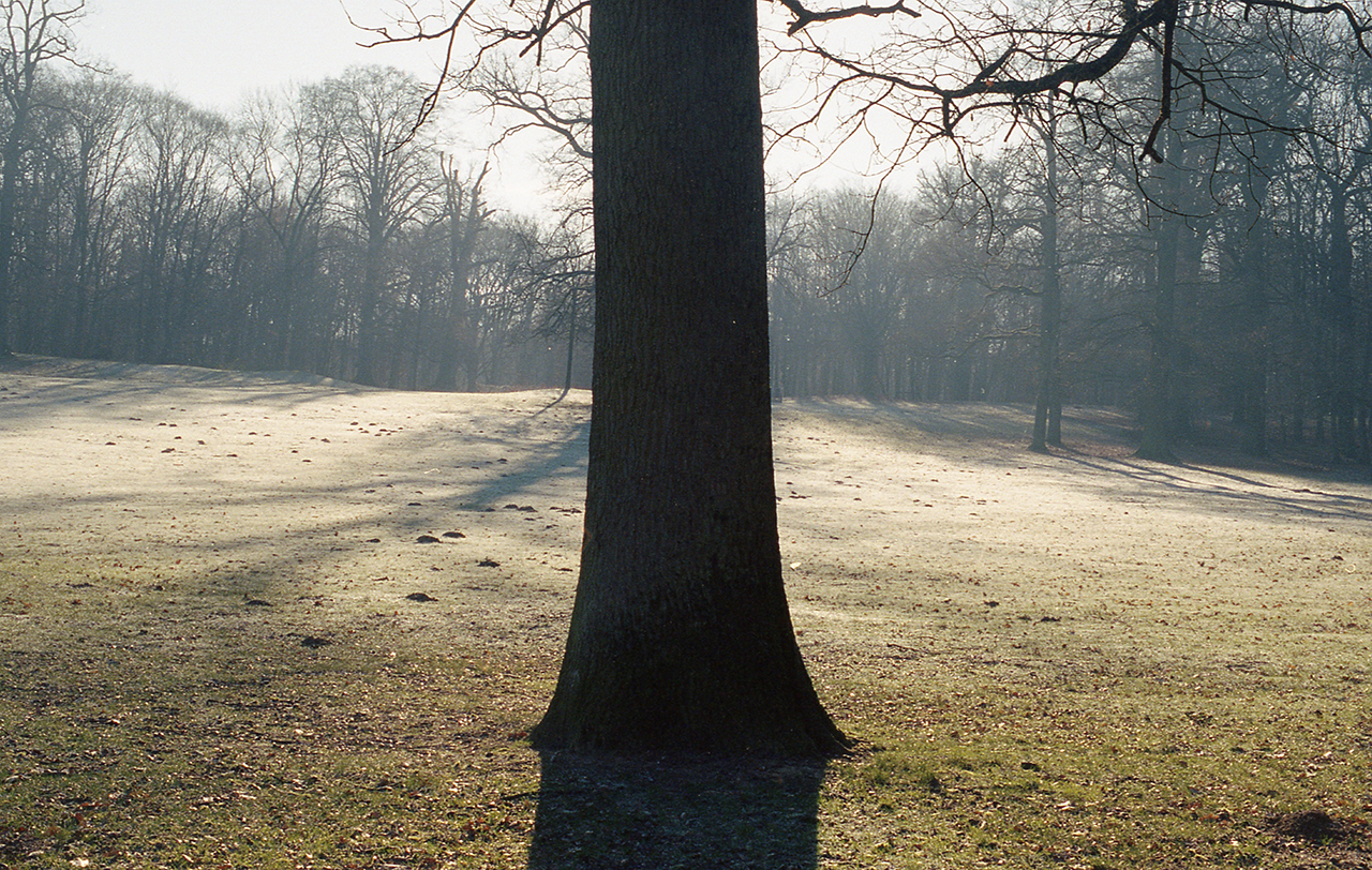 image-19-© Marie-Hélène Grégoire