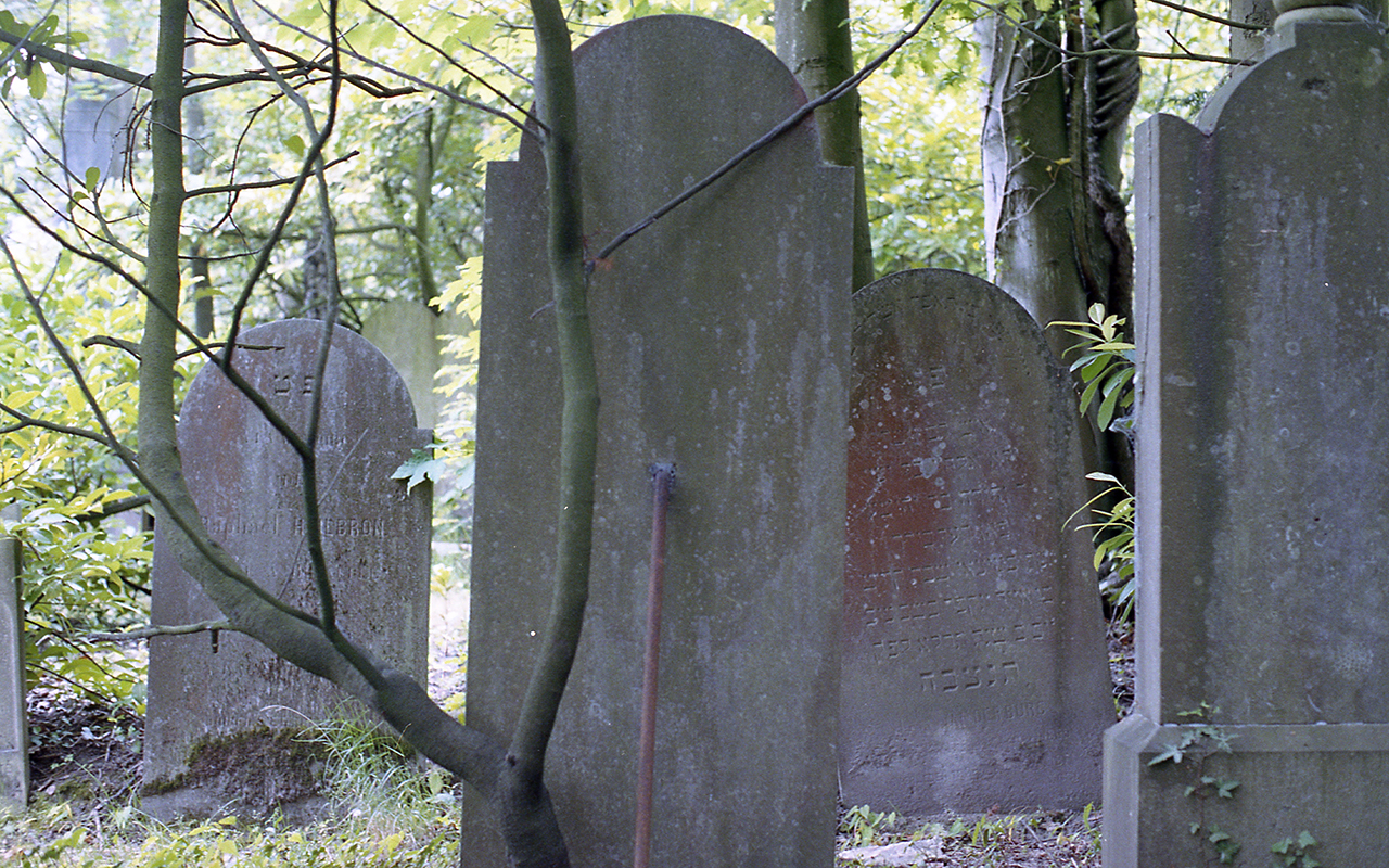 image-24-© Marie-Hélène Grégoire